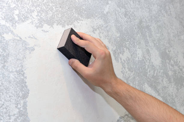 Best Mold Remediation for Vacation Homes  in Pittsburg, KS