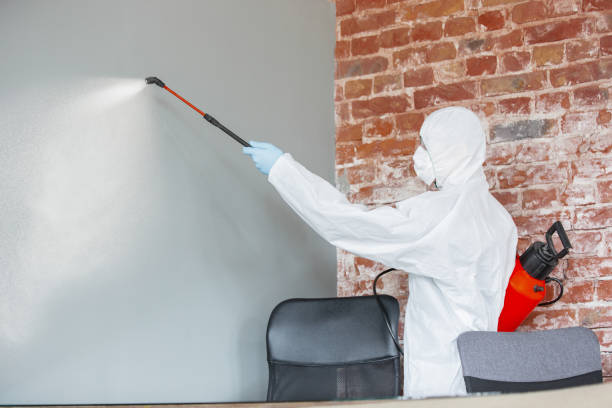 Best Emergency Mold Remediation  in Pittsburg, KS