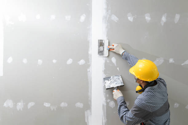 Mold Odor Removal Services in Pittsburg, KS