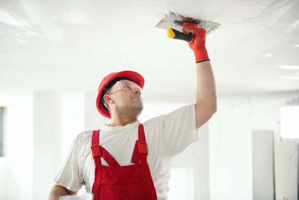 Best Dehumidification Services  in Pittsburg, KS