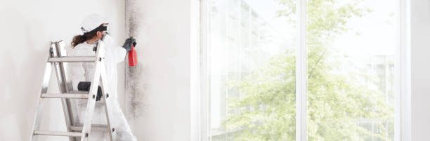 Best Air Quality Testing for Mold Spores  in Pittsburg, KS