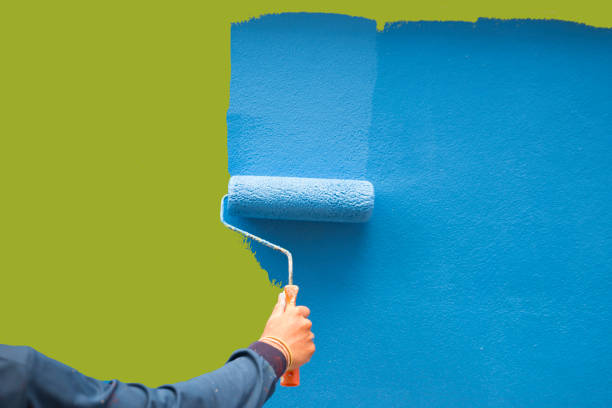 Professional Mold Removal in Pittsburg, KS
